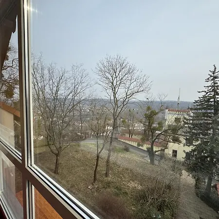 Wilhelmsburg Hotell Bad Kosen
